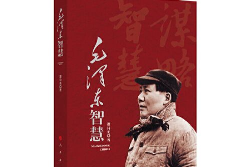 毛澤東智慧(2019年人民出版社出版的圖書)