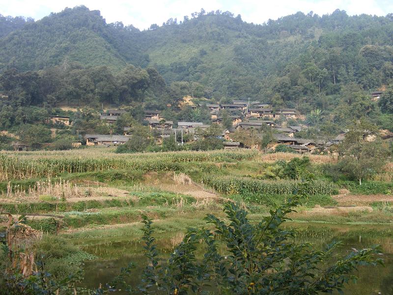 沖頭大麥地村