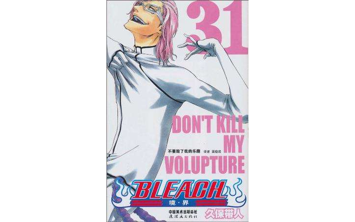 BLEACH 境·界31