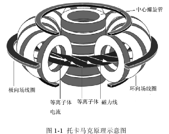 托卡馬克原理示意圖