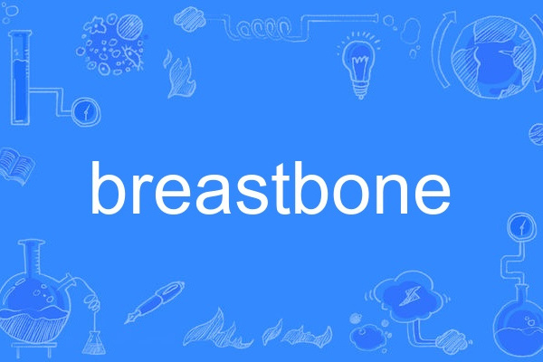 breastbone