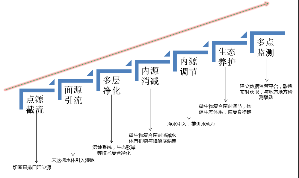 城市黑臭水體治理