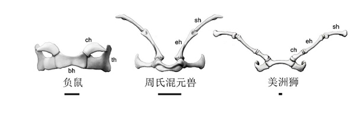 混元獸