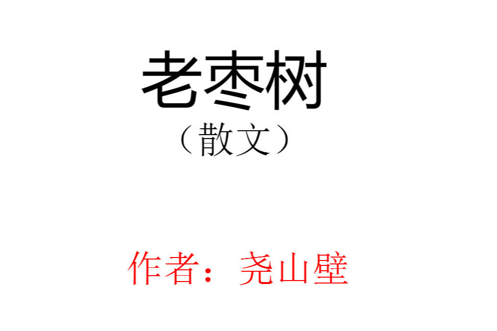 老棗樹(堯山壁散文)