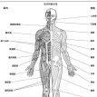 人體科學