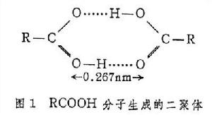 分子締合