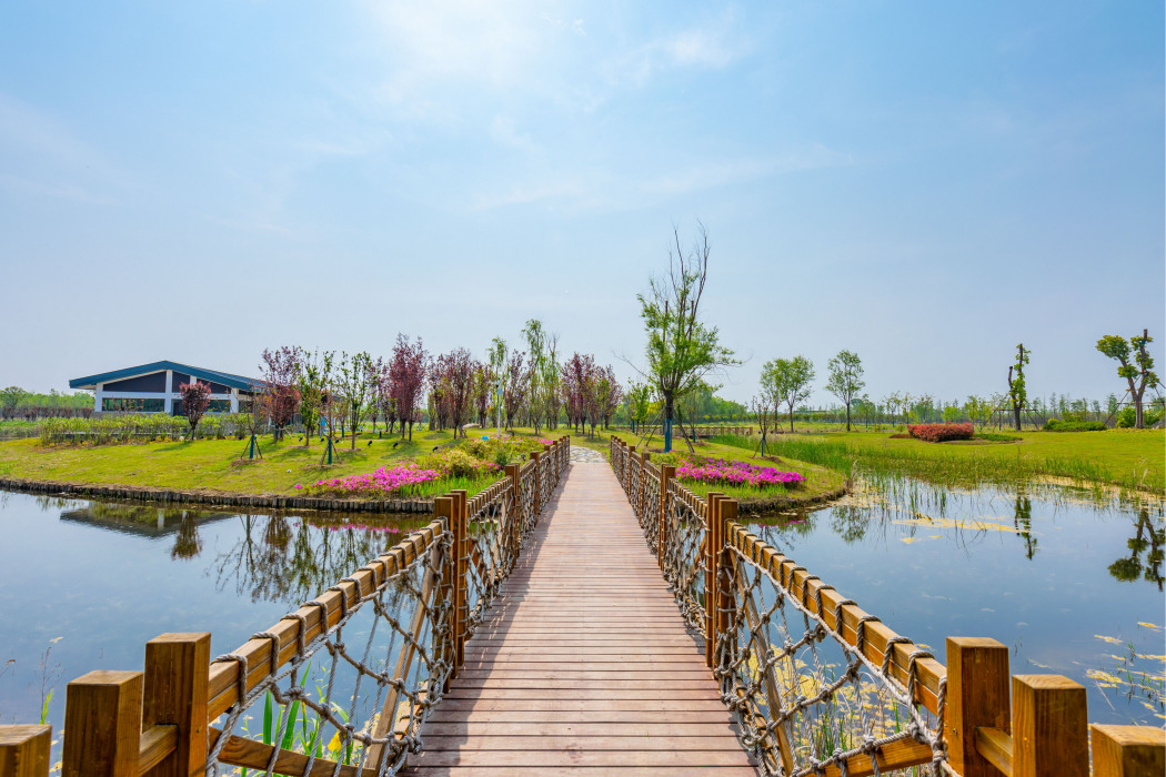 魚梁洲中央生態公園