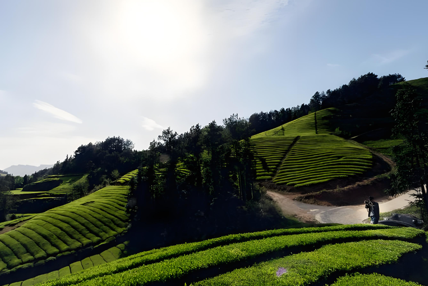 臨沂茶山風景區