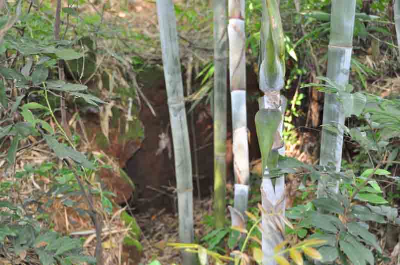 水口鎮(廣東省信宜市水口鎮)