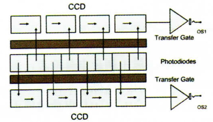 雙溝道線陣CCD