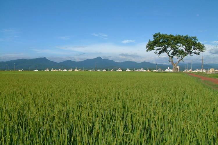 方芽－科邦國家公園