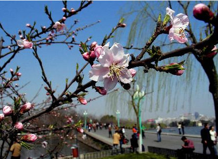 潁州西湖國家濕地公園