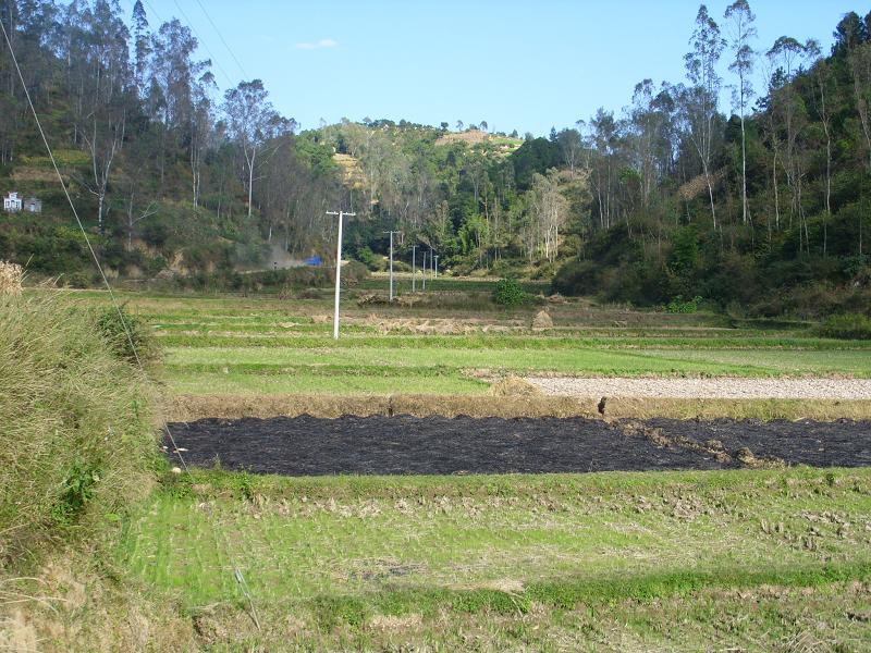 黎家沖村