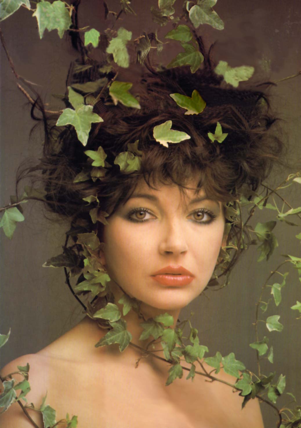 kate bush