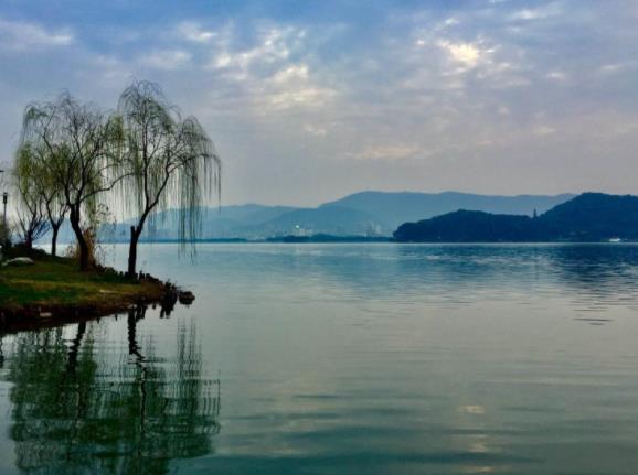 青港湖