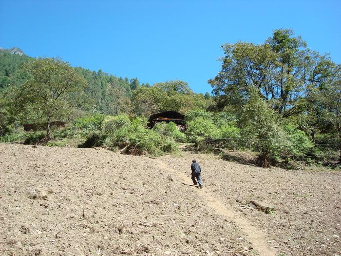 碧汪村進村道路