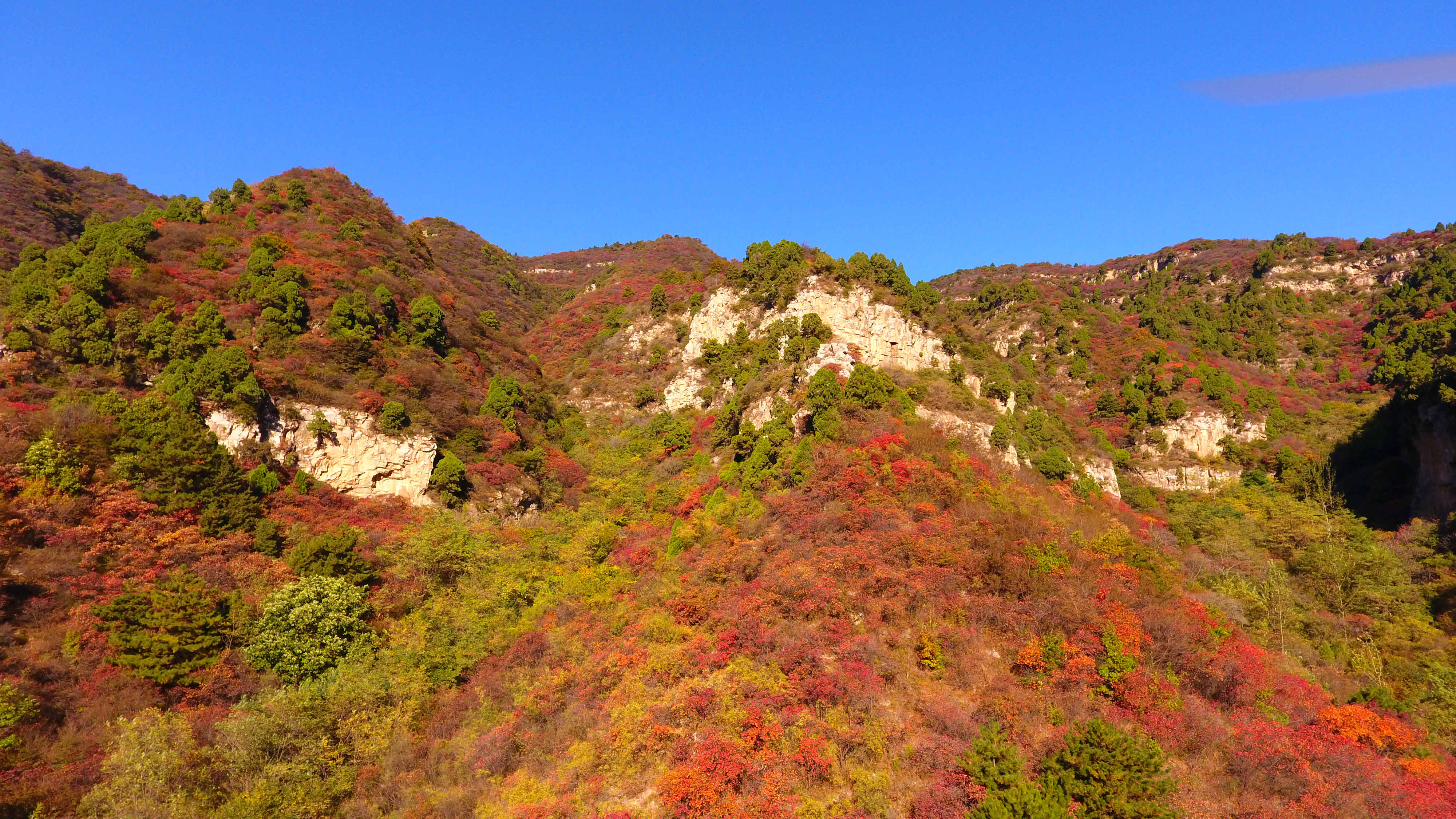 仙台山(河北省井陘縣仙台山)