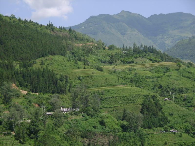 村中山野