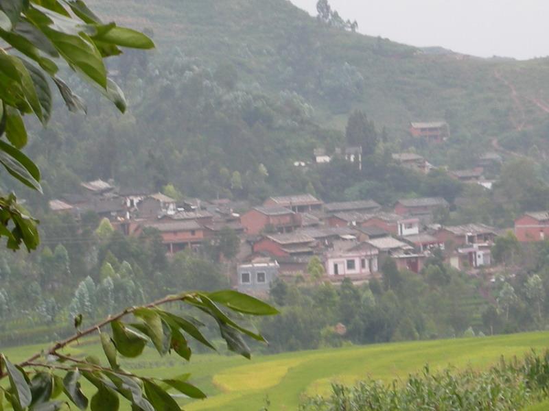 新寨村(雲南省紅河州瀘西縣午街鋪鎮下轄村)