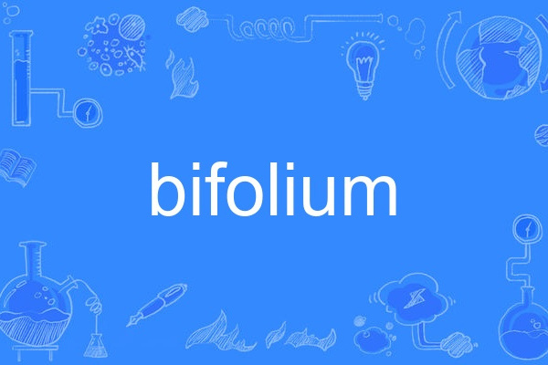 bifolium