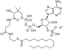 棕櫚醯輔酶A，鉀鹽