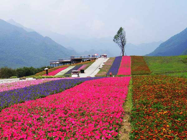 紅池壩國家森林公園