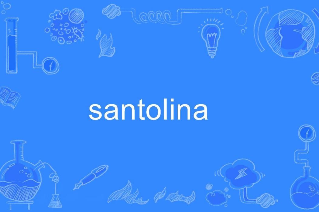 santolina