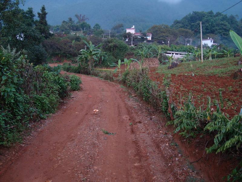 入村道路