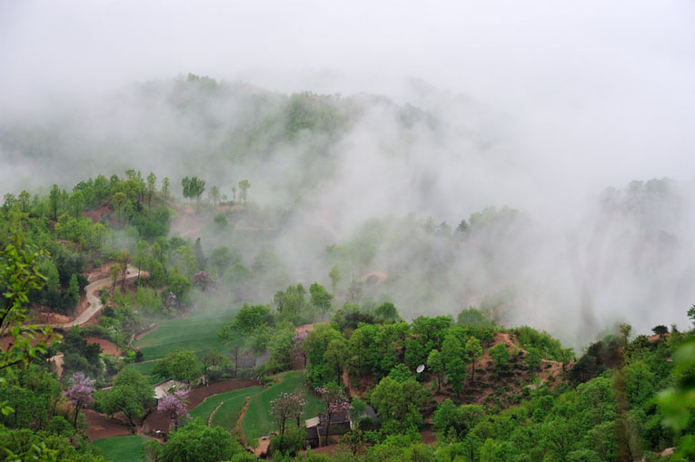 花果山鄉(河南省宜陽縣花果山鄉)