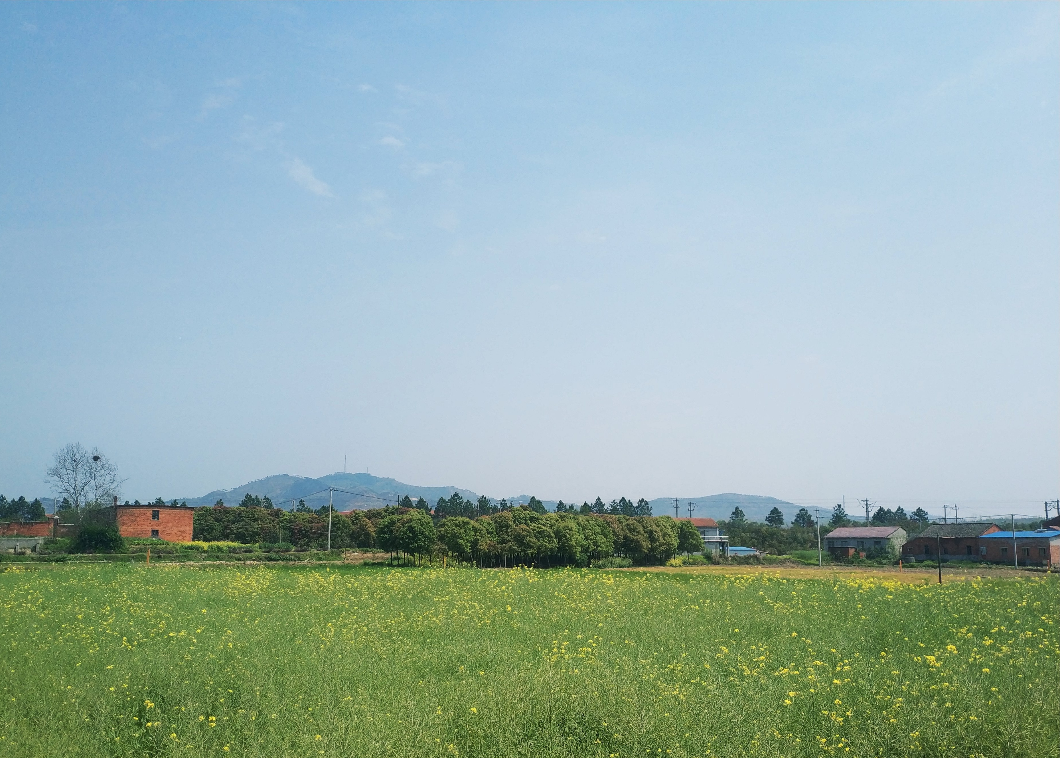 陸政村