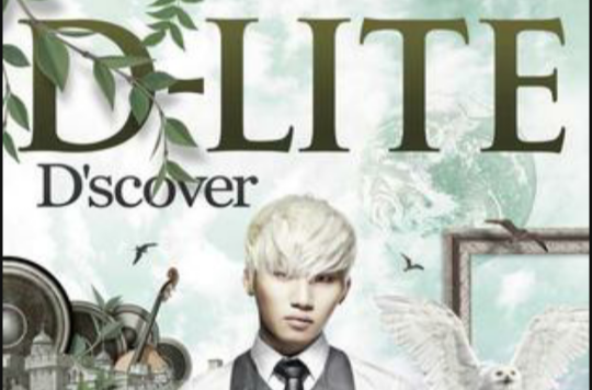 D-Lite - D\x27 scover