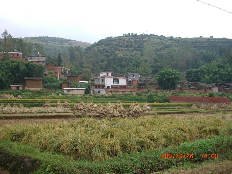 秧田箐村(赤鷲鄉永富村委會下轄村)