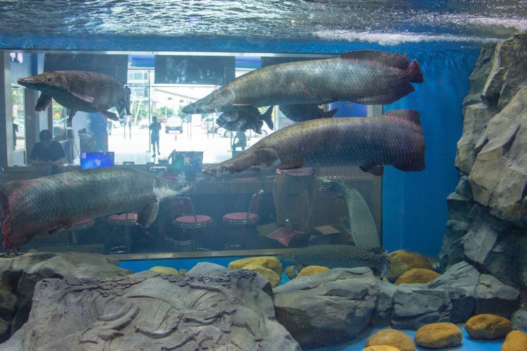 海立方海洋公園