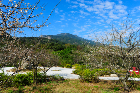 惠州市羅浮山景區