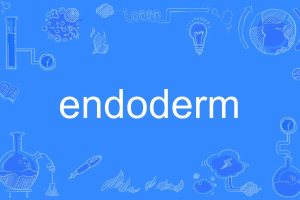 endoderm