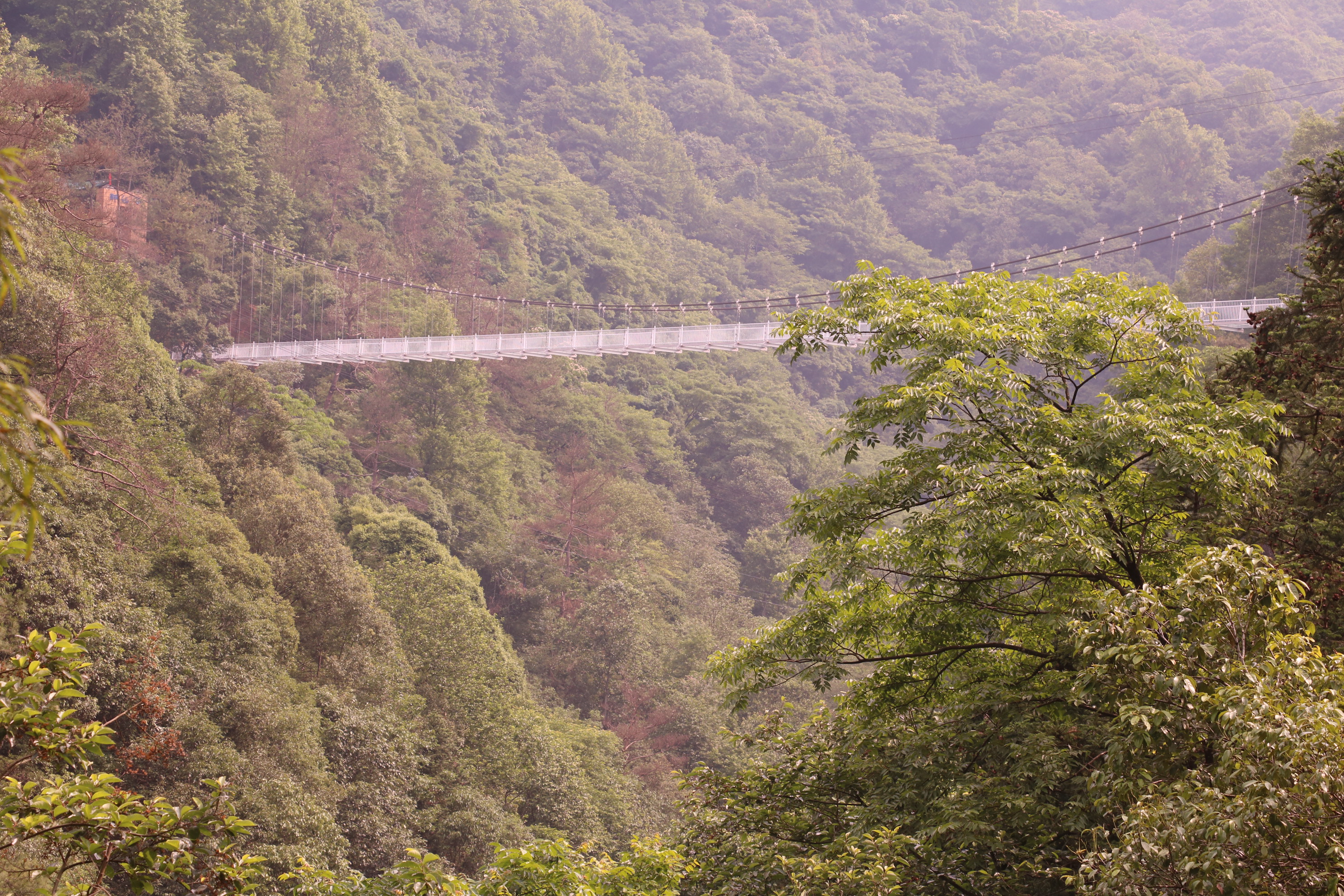 醉山野玻璃橋