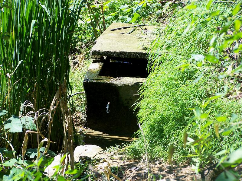 學堂自然村(雲南省彝良縣角奎鎮學堂自然村)