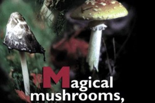 Magical Mushrooms, Mischievous Molds