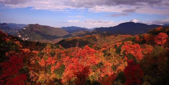 光霧山