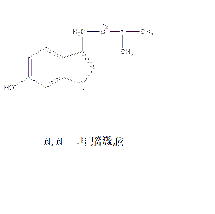 N,N-二甲腦激胺