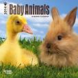 Baby Animals 2014 Mini Calendar