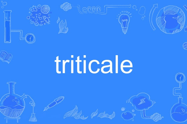 triticale