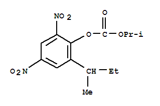 分子結構