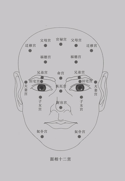 科明星位置圖