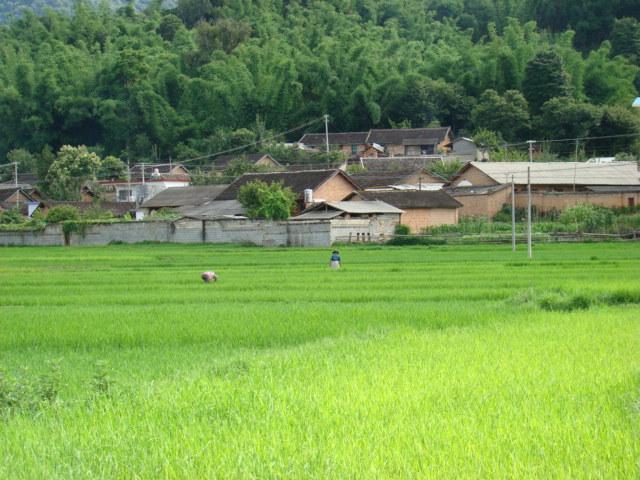 回貢老寨村