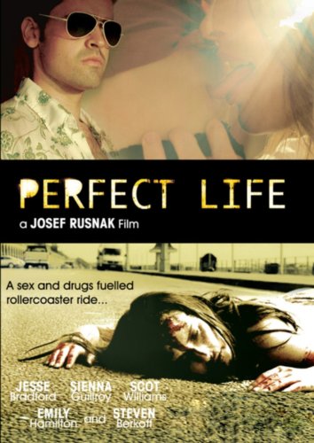 完美生活(2010年約瑟夫·魯斯納克執導美國和盧森堡電影)
