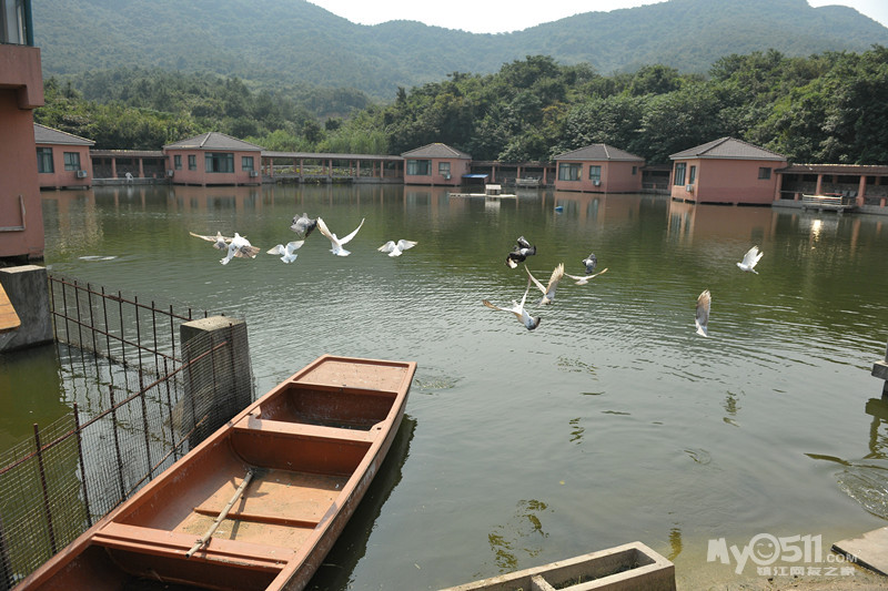 陳豐村