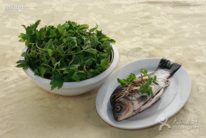 鯽魚勒菜湯