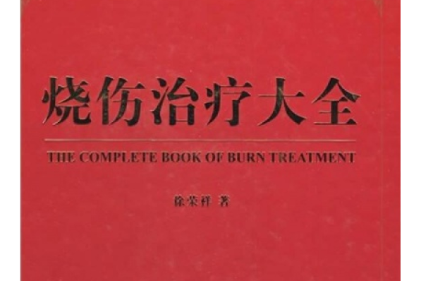 燒傷治療大全(2008年中國科學技術出版社出版的圖書)