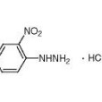 2-硝基苯肼鹽酸鹽
